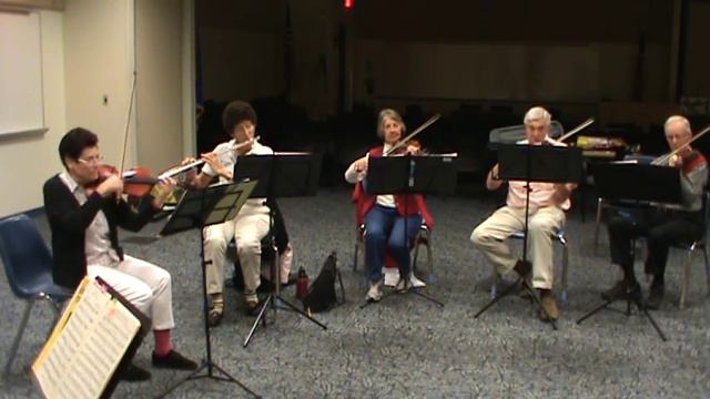 Venice Community Orchestra - Menuet From The 11th Military Symphony - Haydn 2 21 15