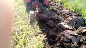 Вспашка минитрактором МТЗ 132Н