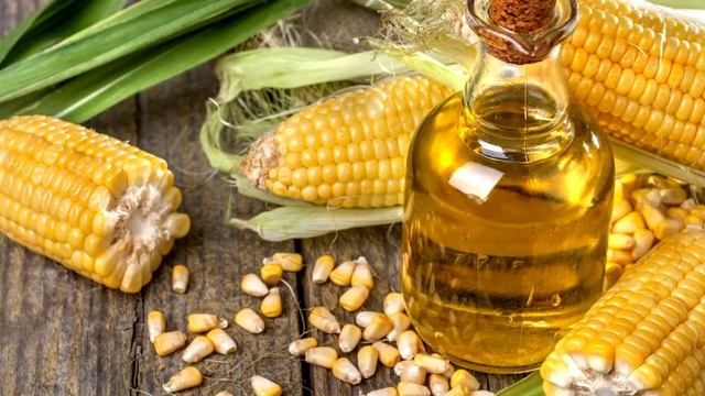 Кукурузное масло польза и вред. Польза кукурузного масла в кулинарии. Жирные кислоты в составе смотреть онлайн
