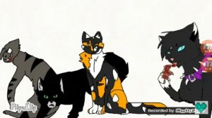 Моё мнение о сериале "коты воители" от автора Luna Toons. //  !читать описание! //