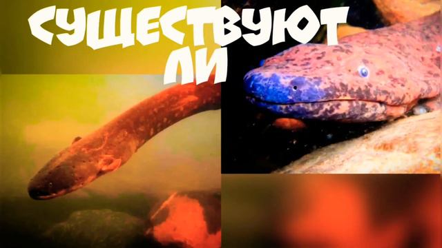 Тайны России - Озёрные Монстры / Псковская Область / Monstra Enim Sunt Lakeside?!. / Occulta Russia