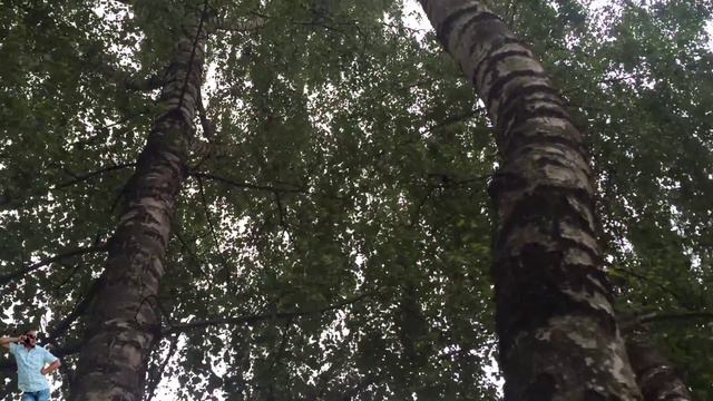 Живе чудо природи.Білка Тернопільська :) смотреть онлайн