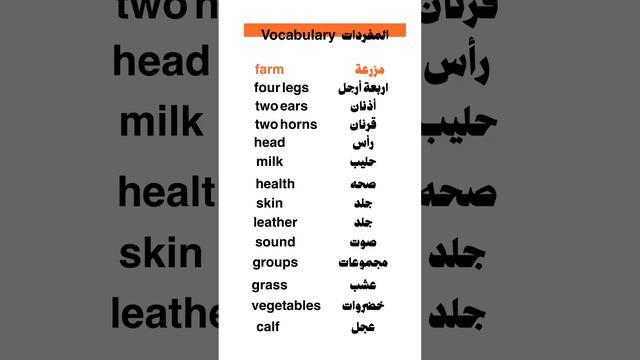 سلسلة تعلم القراءة باللغة الانجليزية للمبتدئين || part 1 смотреть онлайн