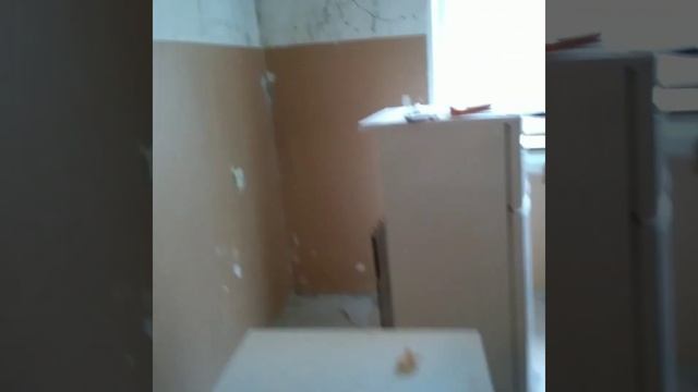 #бюджетныйремонт#ремонт#обои#бетон#стены# Оклейка обоями на бетонные стены! Трэш! смотреть онлайн