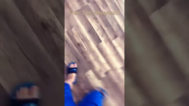 Activites To Do With An Arctic Fox S1 : E3, Find The Markers! смотреть онлайн