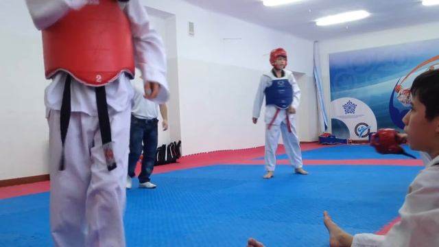 WTF S.K.O. смотреть онлайн