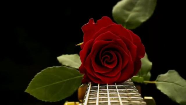(Са дагна езнарг)-Чеченские песни под гитару 🔥🔥🔥🔥🎶🎶🎶🎶 смотреть онлайн