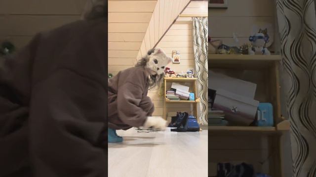 Туториал на обычный прыжок в квадробике чек смотреть онлайн