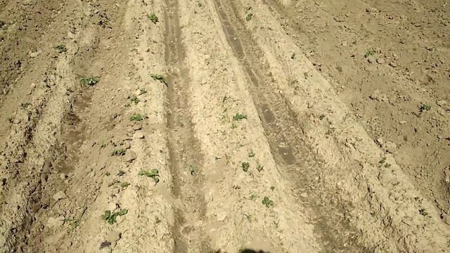 Боронование . НОВЫЙ МЕТОД. смотреть онлайн