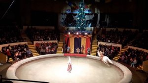 АМАЗОНКИ ВАЛЕНТИНА КУЛЬКОВА. AMAZONS. ДОНЕЦК 2017-2018