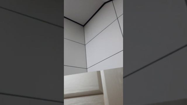 Натяжные потолки в частном доме с мансардой смотреть онлайн