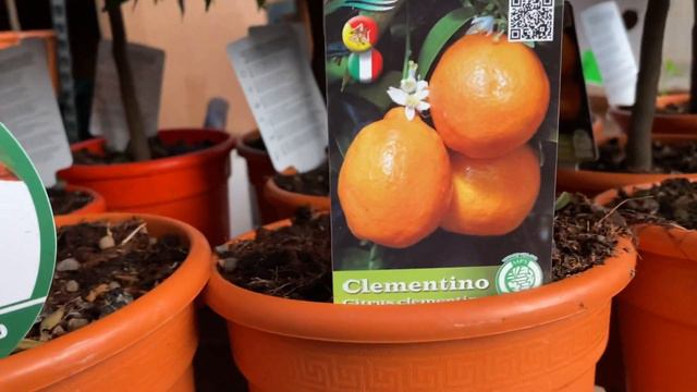 Обзор 6 июля 3 часть смотреть онлайн