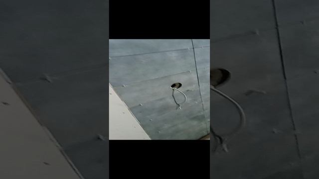 ванная за два дня