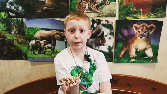 Ящерица Молох смотреть онлайн