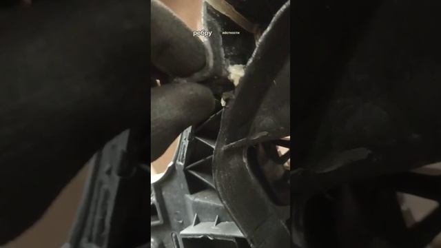 О, Теплый Дом!