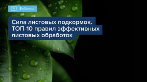 Вебинар «Сила листовых подкормок. ТОП 10 правил эффективных листовых обработок