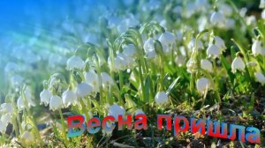 Футаж. Весна пришла 12