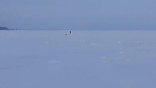 Река Волга, Казань РТ Татарстан. Нестандартная зимняя рыбалка в ночь на судака,берша.??? смотреть онлайн