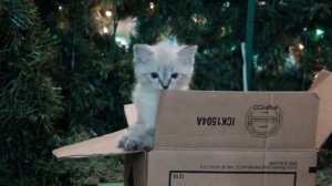 Моя любимая песня - Твори добро