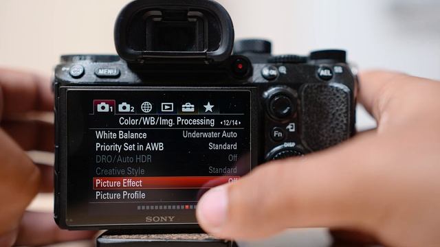 Sony A7Siii S-LOG Settings ! S-Log Explained - Sony Pro