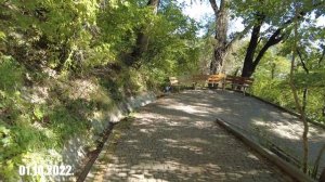 Пансионат Шепси. Пляж. Дельфины.