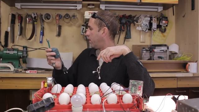 КАК СДЕЛАТЬ ИНКУБАТОР с Автоматическим переворотом Лотков своими руками!!! КОМПЛЕКТАЦИЯ смотреть онлайн