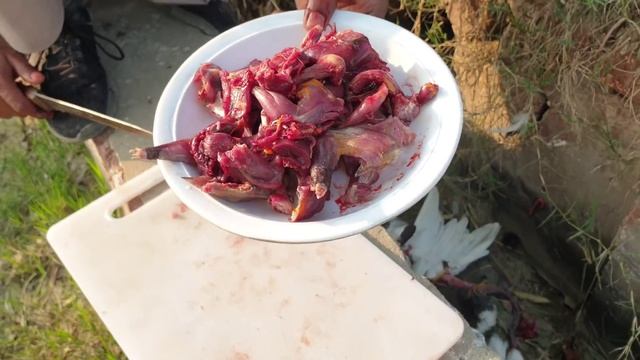 Slingshot Birds hunting And Cooking смотреть онлайн