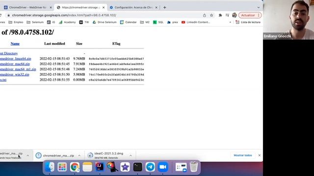 Descarga del Chromedriver смотреть онлайн