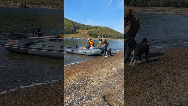 Причалила лодочка смотреть онлайн