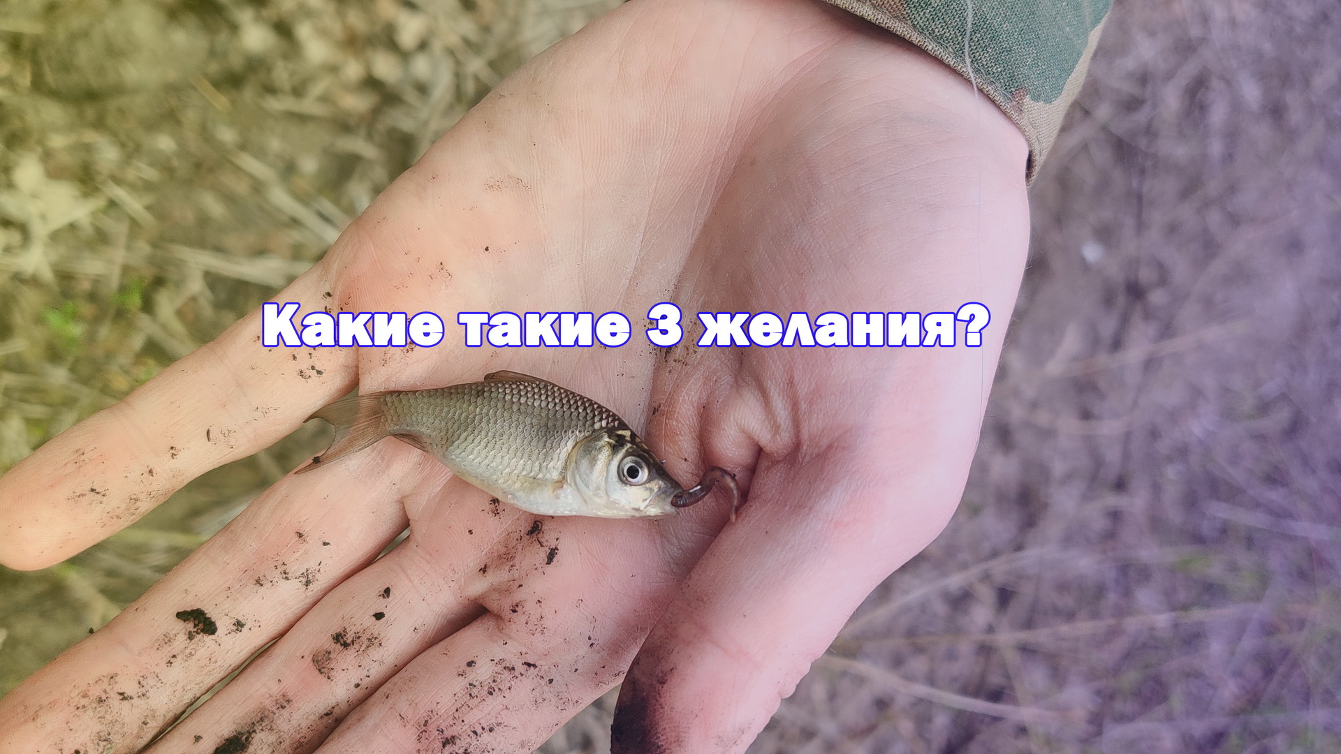 Карась в сельском пруду весной на поплавочную удочку в Орловской области