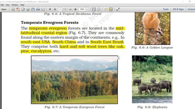 NATURAL VEGETATION AND WILD LIFE смотреть онлайн