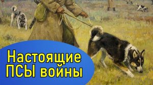 Джульбарсы на службе Родины. Великая Отечественная