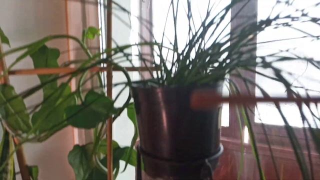 Дисхидия на опоре.Исправляю ошибки. смотреть онлайн