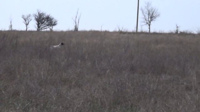 Бита Грон Баста в поле ч2 смотреть онлайн