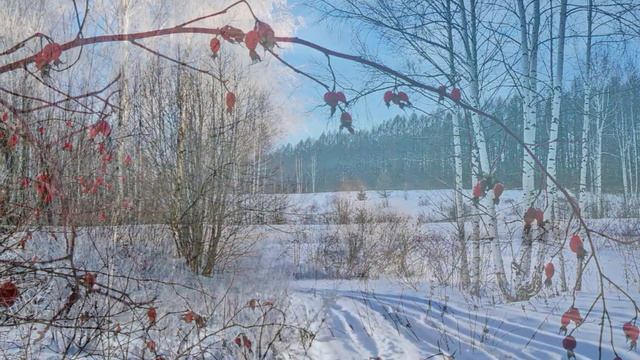"ВЕСЁЛЫЕ ЧАСЫ"... (Фото Владимира Крюкова (Котельнич) - Дуэт баянистов А. Шалаев и Н. Крылов) смотреть онлайн