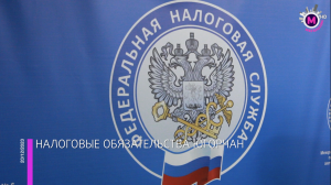 Мегаполис – Налоговые обязательства югорчан - Нижневартовск