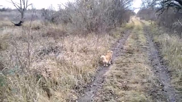 #ЕЙСК, #ДАЧИ ??Сделала вентиляцию в ванной. Дверь теперь закрывается! Расстроилась из- за конька. смотреть онлайн