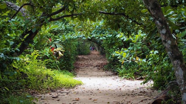 Aldo: il mio viaggio in Costa Rica, a Panama e in Nicaragua! смотреть онлайн
