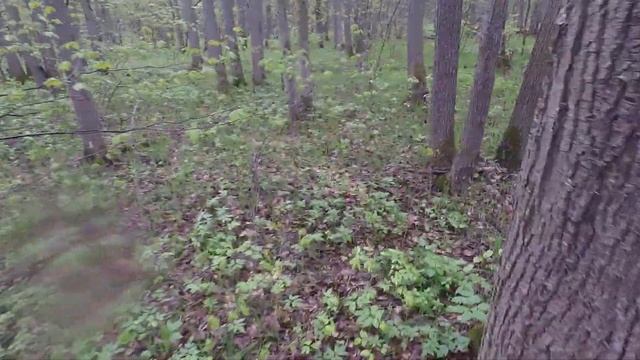 Заря "Поля сражений Тула" 04.05.19 - 4 - Работа в тылу синих смотреть онлайн