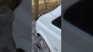 Проблеми переключення передач vito,viano 639.