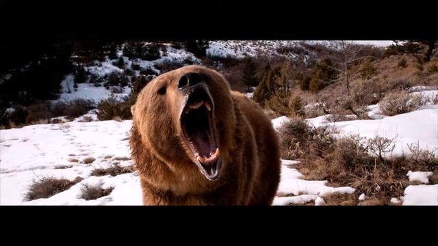 бибизяки обизяки смотреть онлайн