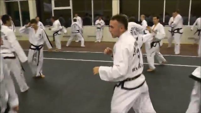 Sparring-seminar с Мастером Вилли Ван Де Мортелом по Тхэквондо ITF смотреть онлайн