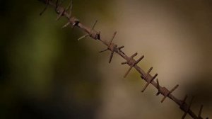 Правда о нацистском концлагере в г.Саласпилсе (Латвия)