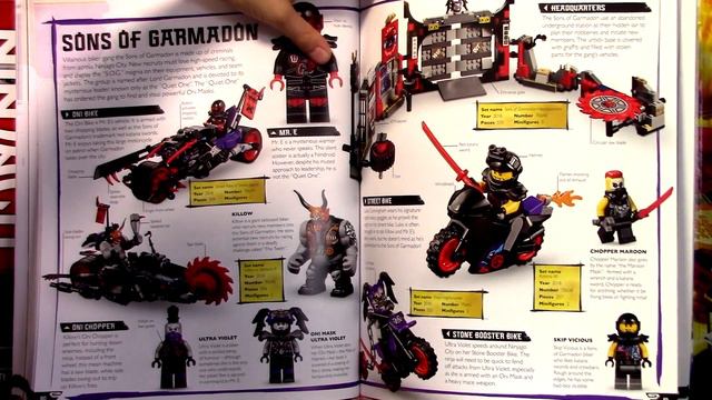 Timka LEGO Ninjago Visual Dictionary Book 2019. New Edition (Визуальный словарь Ниндзяго.)