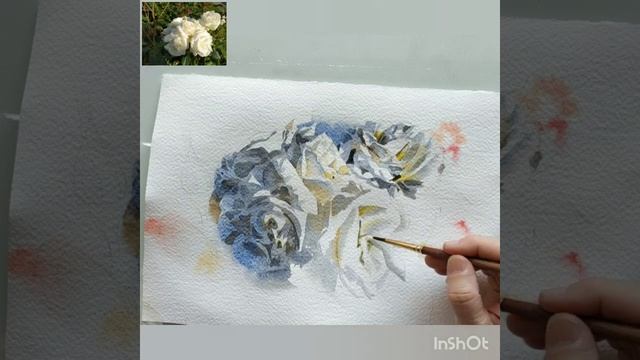 Как нарисовать розы акварелью. смотреть онлайн