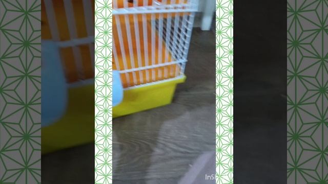 125095.mp4 смотреть онлайн