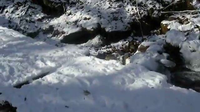 The forest near Rila Monastery - Гора в близост до Рила манастир смотреть онлайн