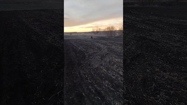 Боронування мототрактором 2023р смотреть онлайн