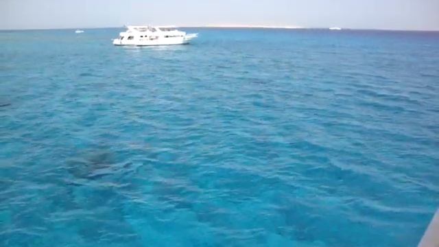 экскурсия морская рыбалка Египет смотреть онлайн