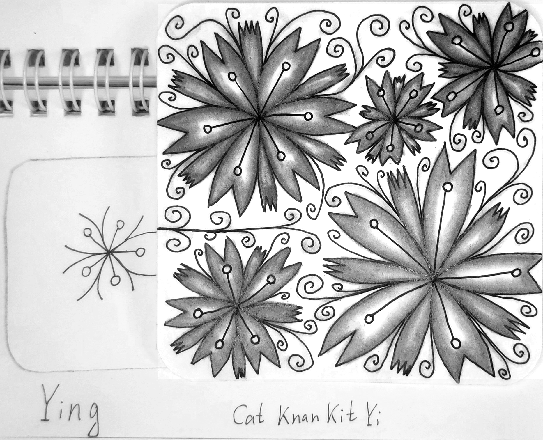 Зентангл Тангл Ying